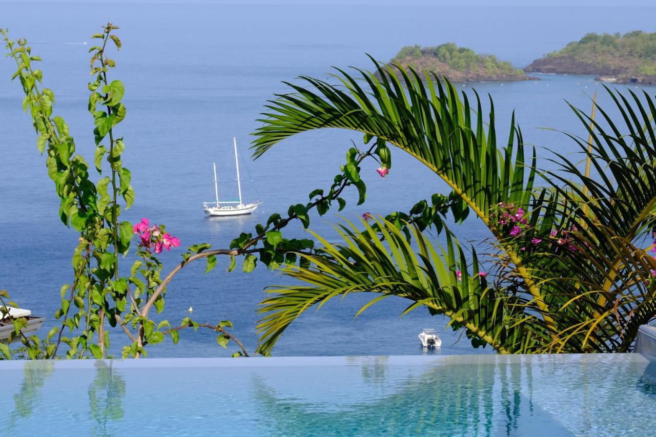 Sunset Palm - Villa Creole Avec Piscine Face Au Coucher De Soleil Et A La Reserve Cousteau Bouillante Zewnętrze zdjęcie