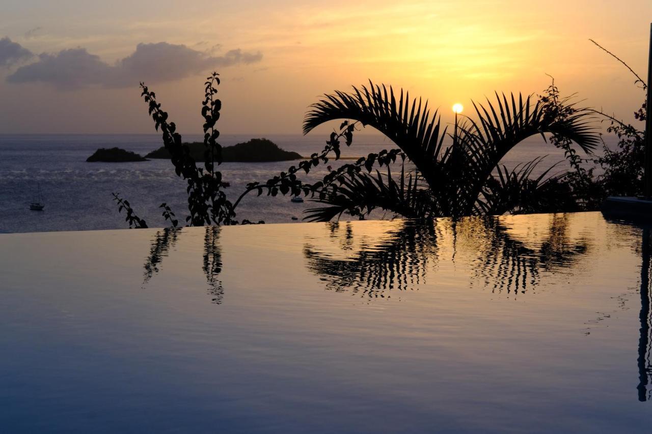 Sunset Palm - Villa Creole Avec Piscine Face Au Coucher De Soleil Et A La Reserve Cousteau Bouillante Zewnętrze zdjęcie